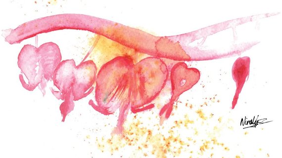 570x320 Watercolor Flower Painting Abstract Watercolor Bleeding Heart - Watercolor Bleeding