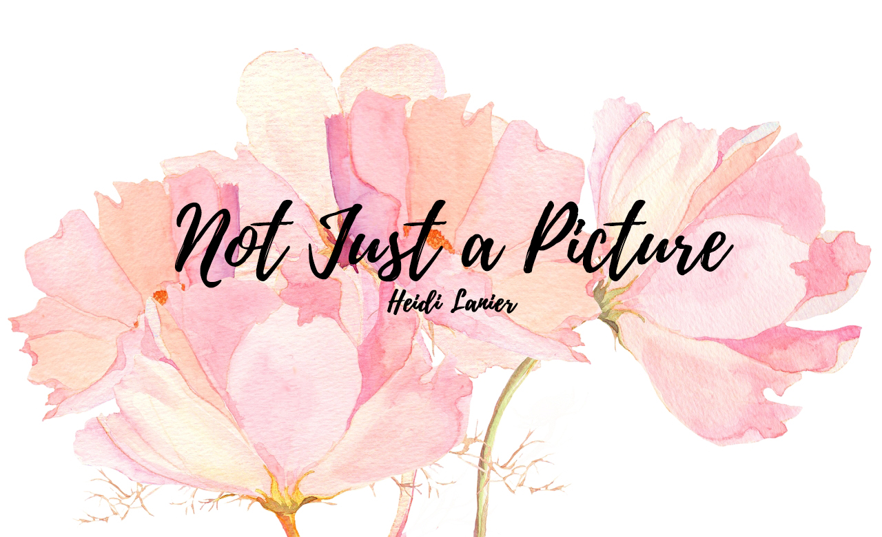 1280x779 Heidi Blog Watercolor Flower Banner - Watercolor Blog Header