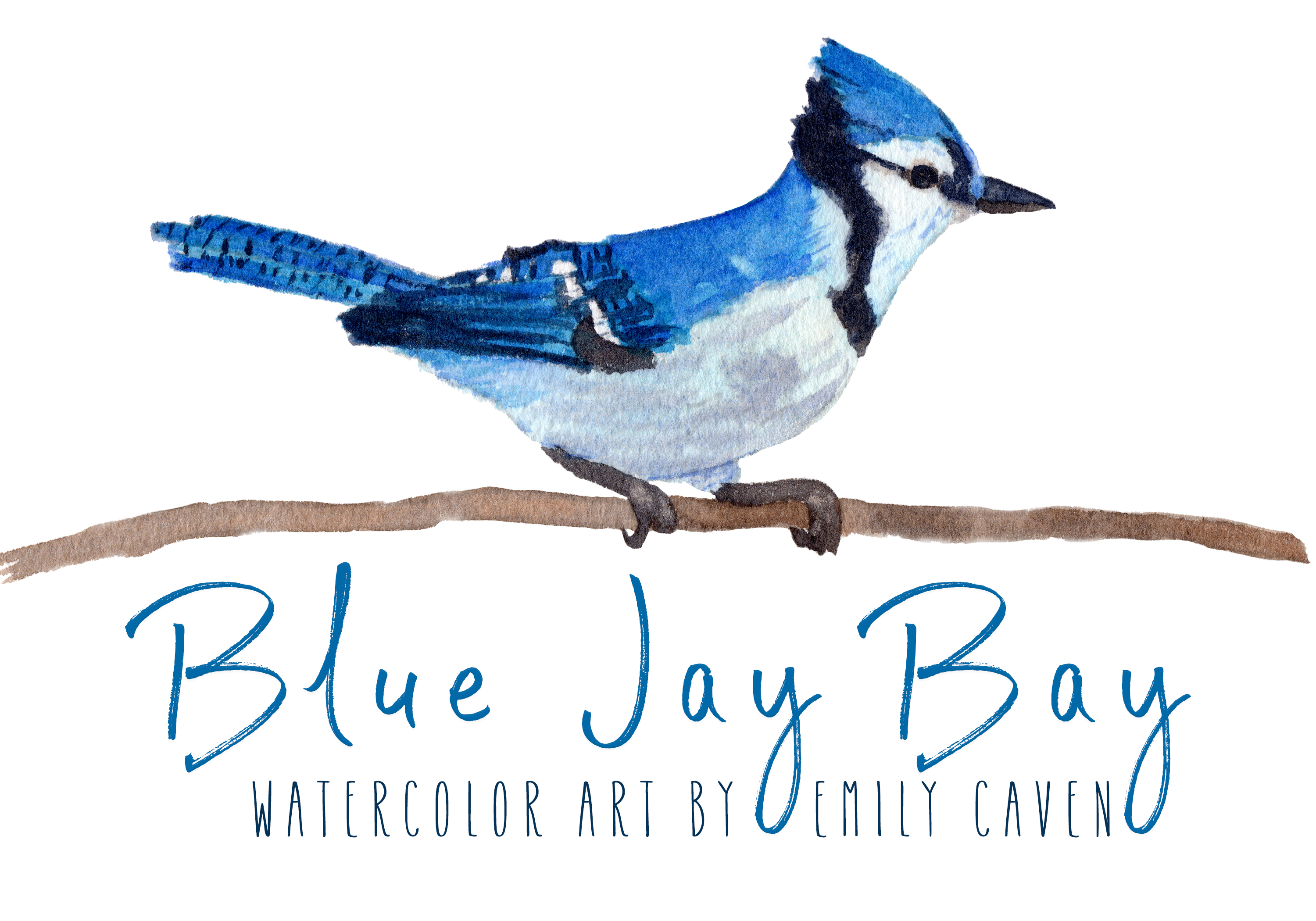 3000x2100 Blue Jay Bay - Watercolor Blue Jay