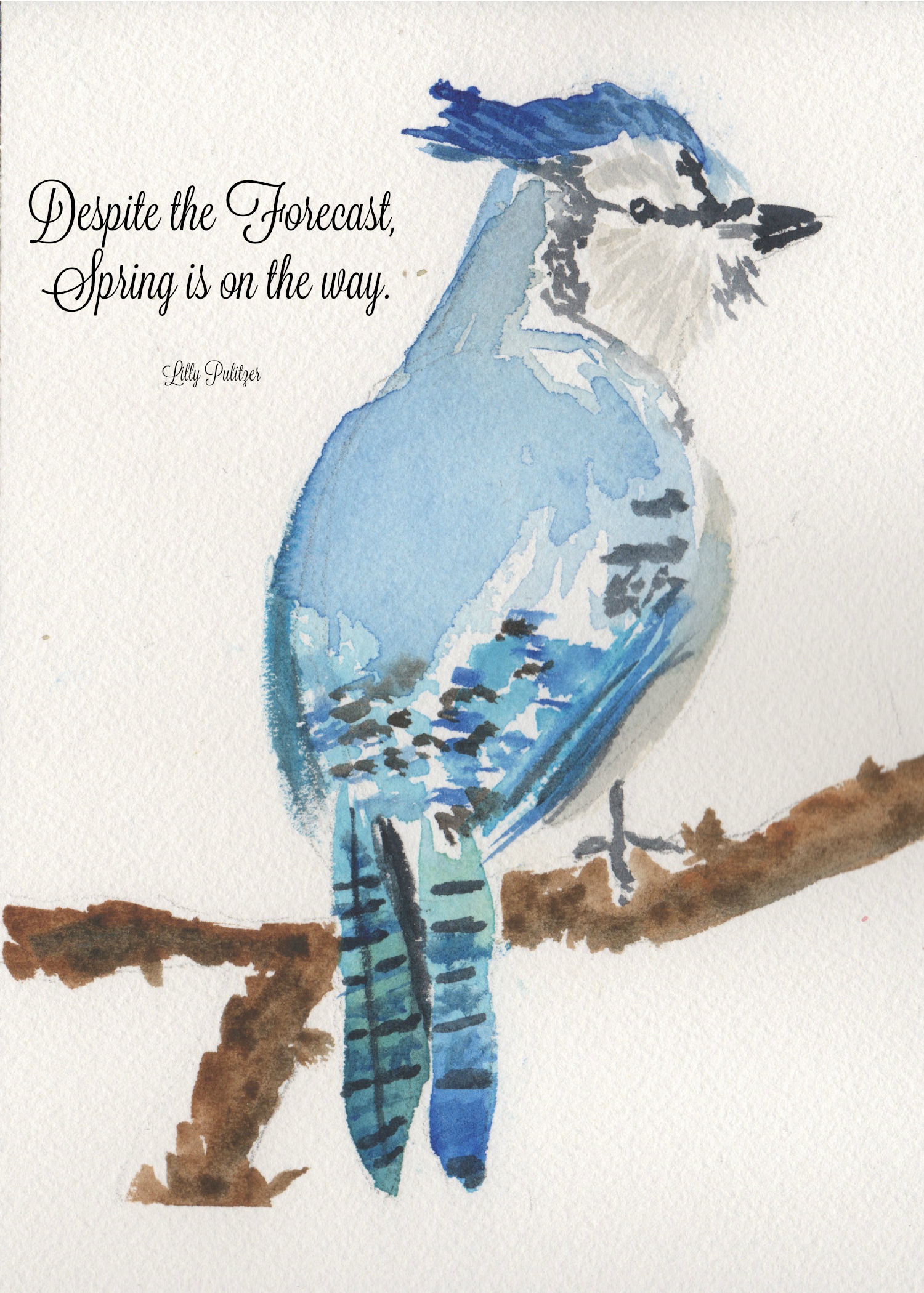 1500x2100 Blue Jay Watercolor Free Printable - Watercolor Blue Jay