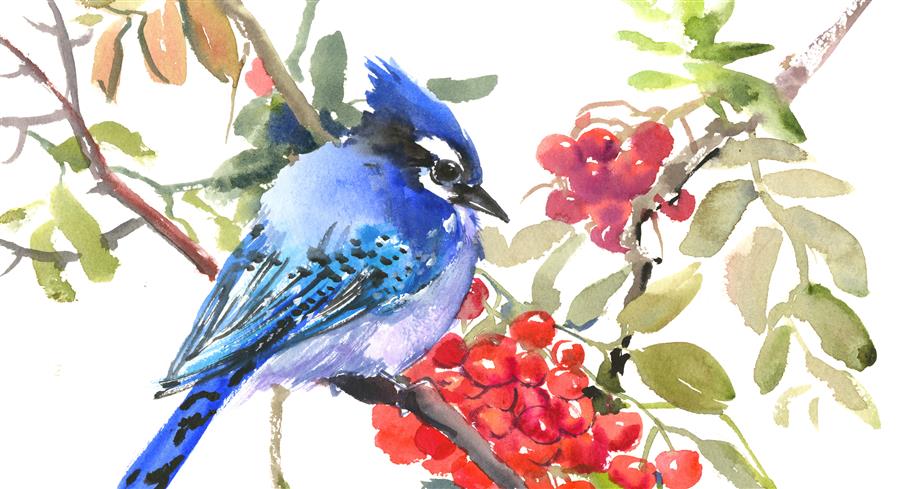 900x489 Blue Jay And Rowan By Suren Nersisyan - Watercolor Blue Jay