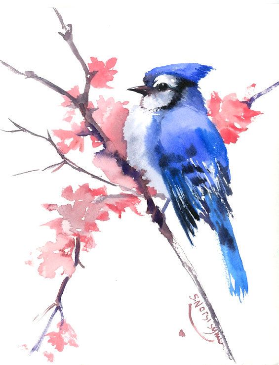 565x738 Blue Jay Original Watercolor Painting 10 X 8 In Blue Hay - Watercolor Blue Jay