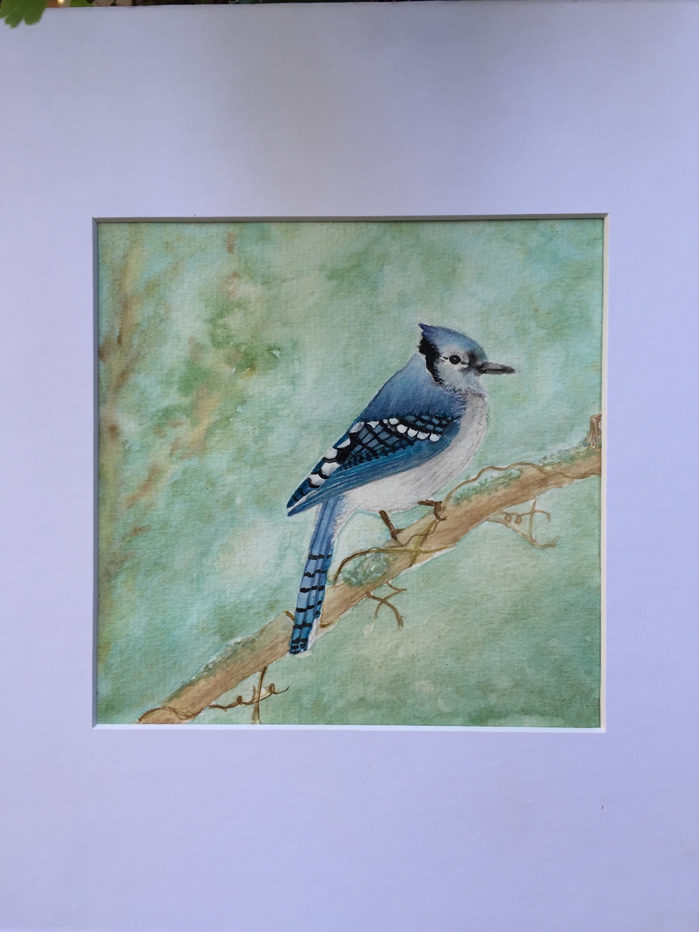 1000x1333 Original Watercolor Blue Jay Free Hearts Art - Watercolor Blue Jay