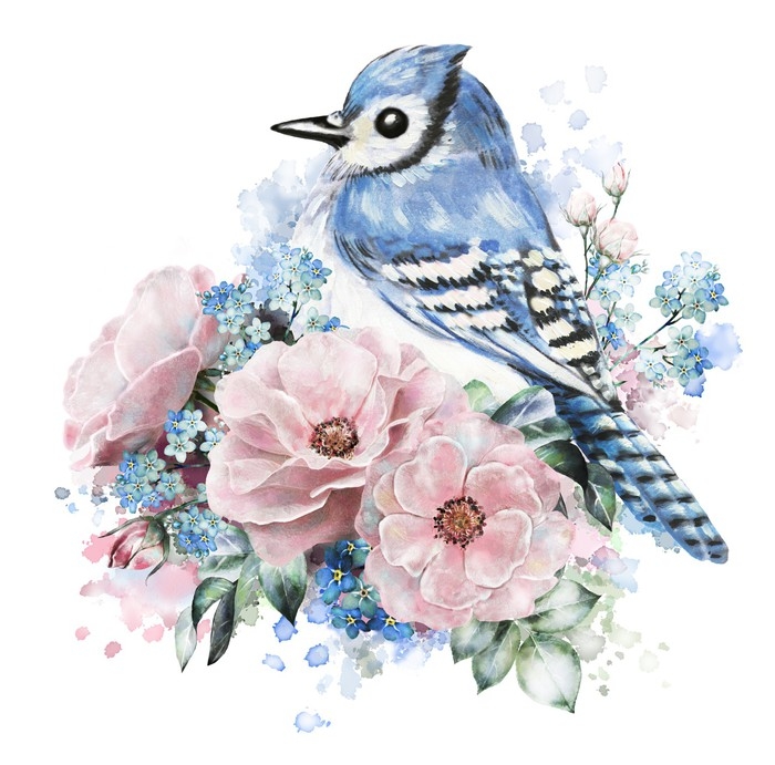 700x691 Watercolor Flowers, Rose With Me Nots And Blue Jay. Floral - Watercolor Blue Jay