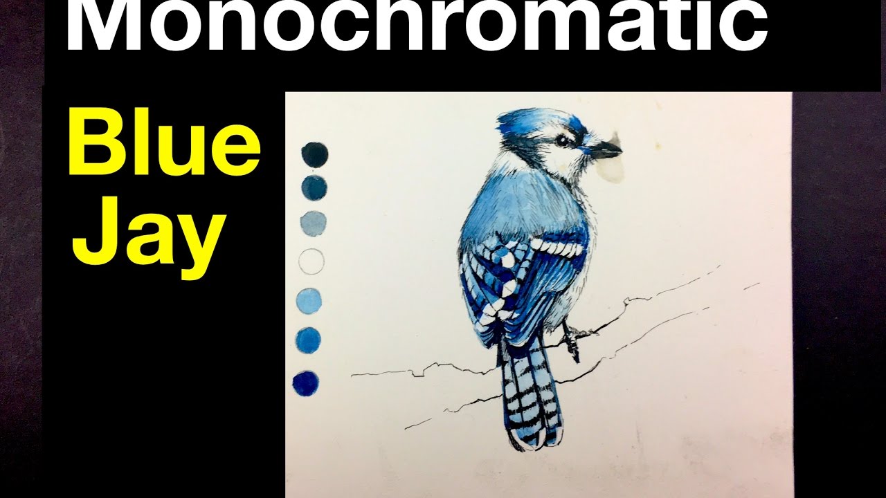 1280x720 Beginner Watercolor Exercise Monochromatic Painting Of A Bird - Watercolor Blue Jay