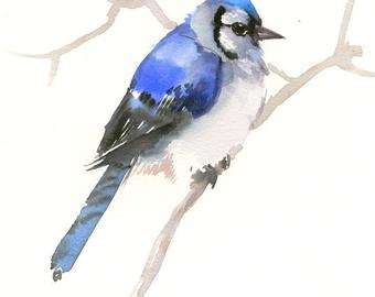 340x270 Blue Jay Artwork One Of A Kind Original Watercolor Painting - Watercolor Blue Jay