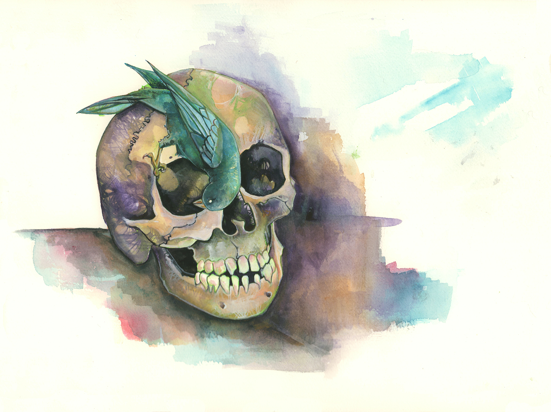 1797x1344 Krislyn Dillard Krislyn Dillard - Watercolor Bones
