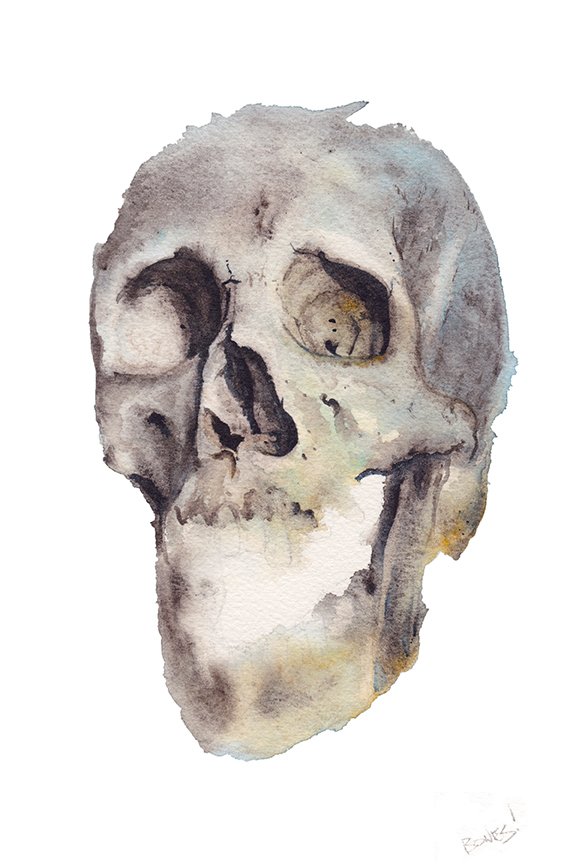 576x864 Shop - Watercolor Bones
