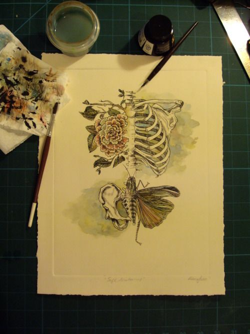 500x667 Watercolor Bones Anatomy, Water And Watercolor - Watercolor Bones