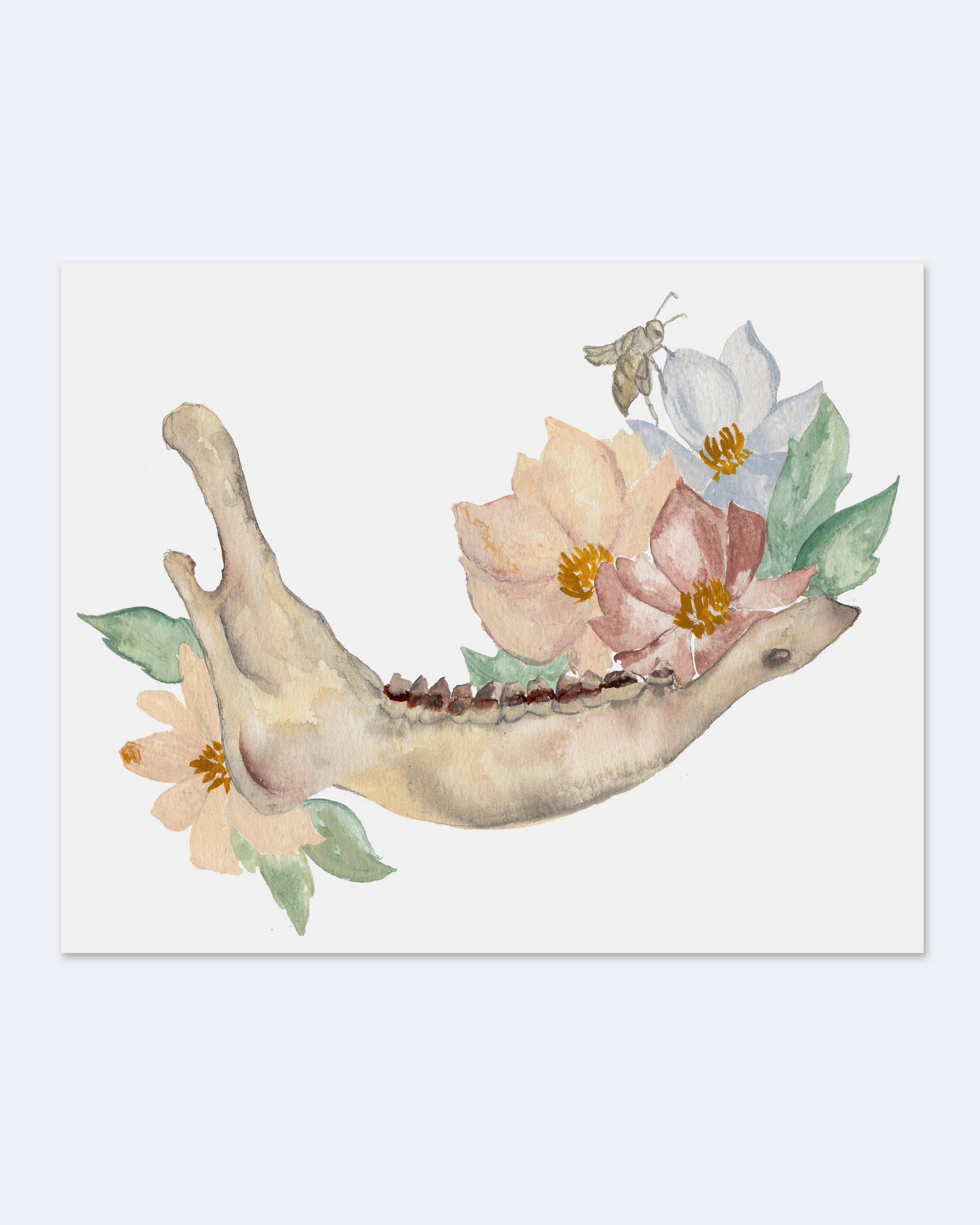 2400x3000 Watercolor Bones Amp Florals Elk Jaw And Muted Flowers Art Etsy - Watercolor Bones