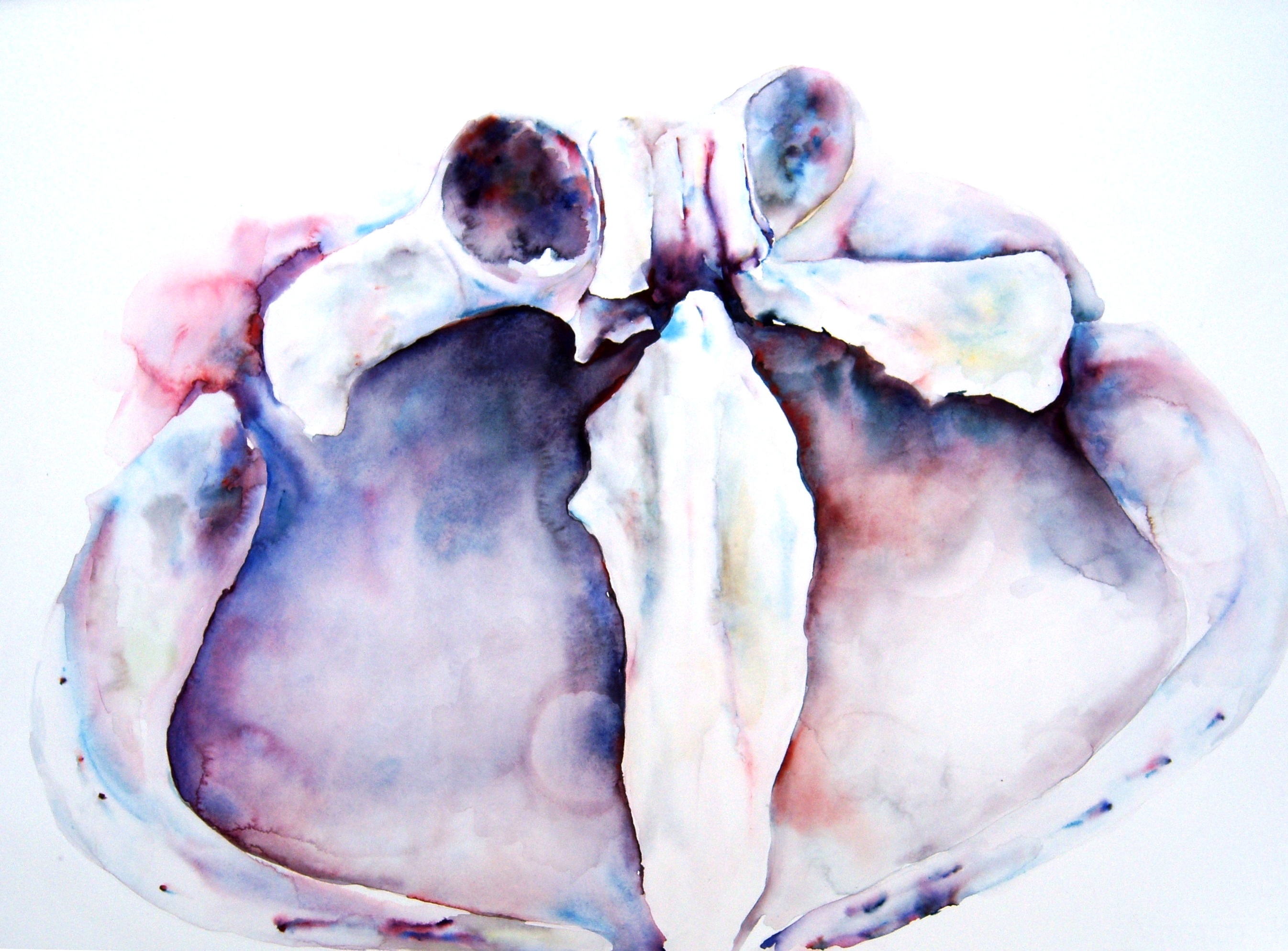 2692x1988 Watercolour Lisagorenpaintings - Watercolor Bones