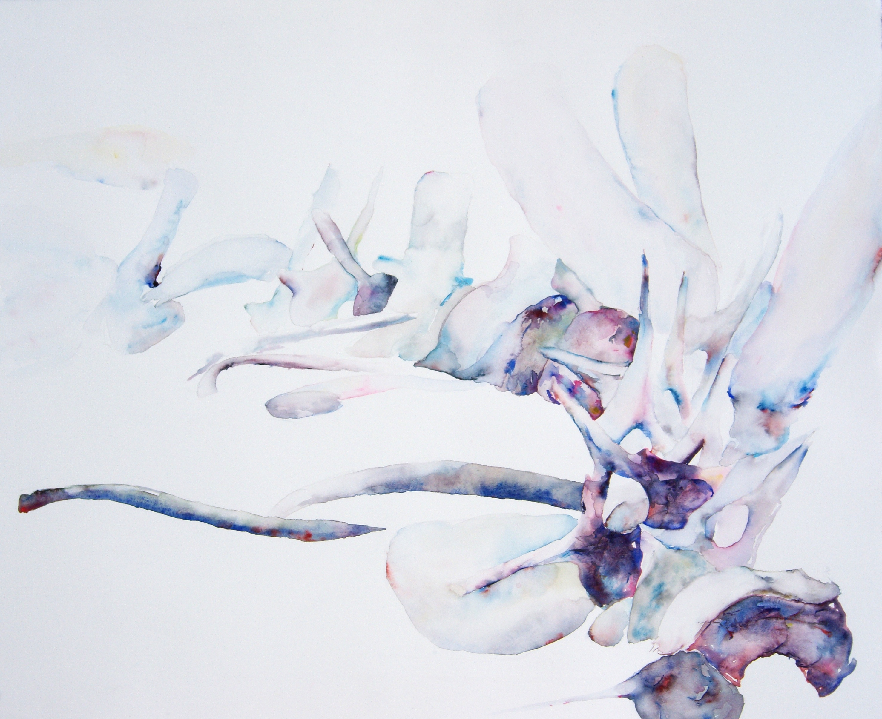 Watercolor Bones at PaintingValley.com | Explore collection of ...