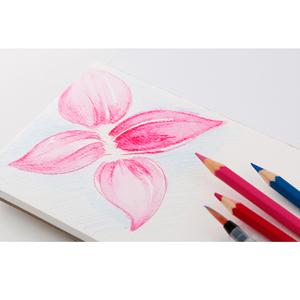 300x300 Professional Watercolor Book Owl Art Supplies - Watercolor Book