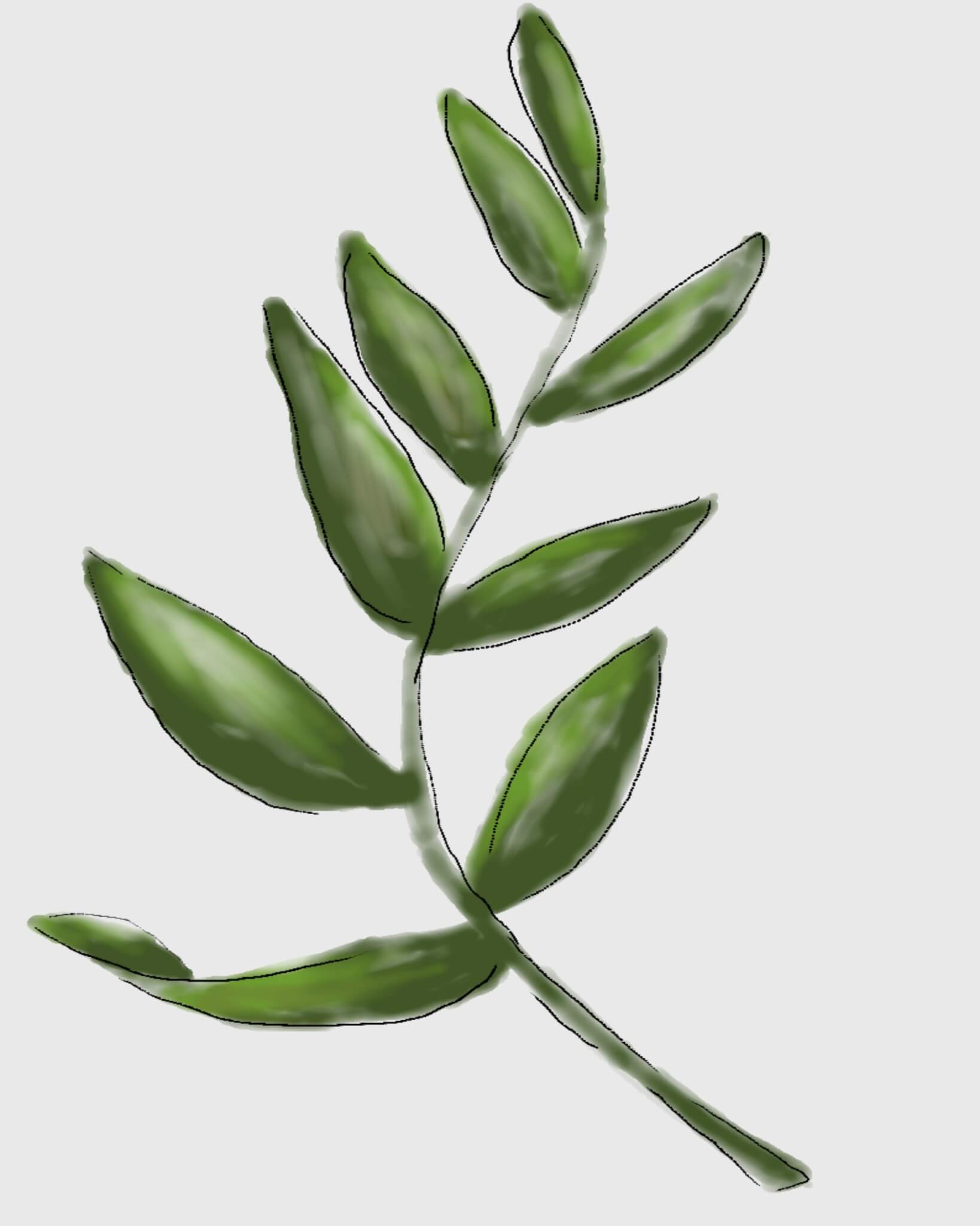 1638x2048 Free Watercolor Botanical Printables Free Printable Friday - Watercolor Botanical Prints