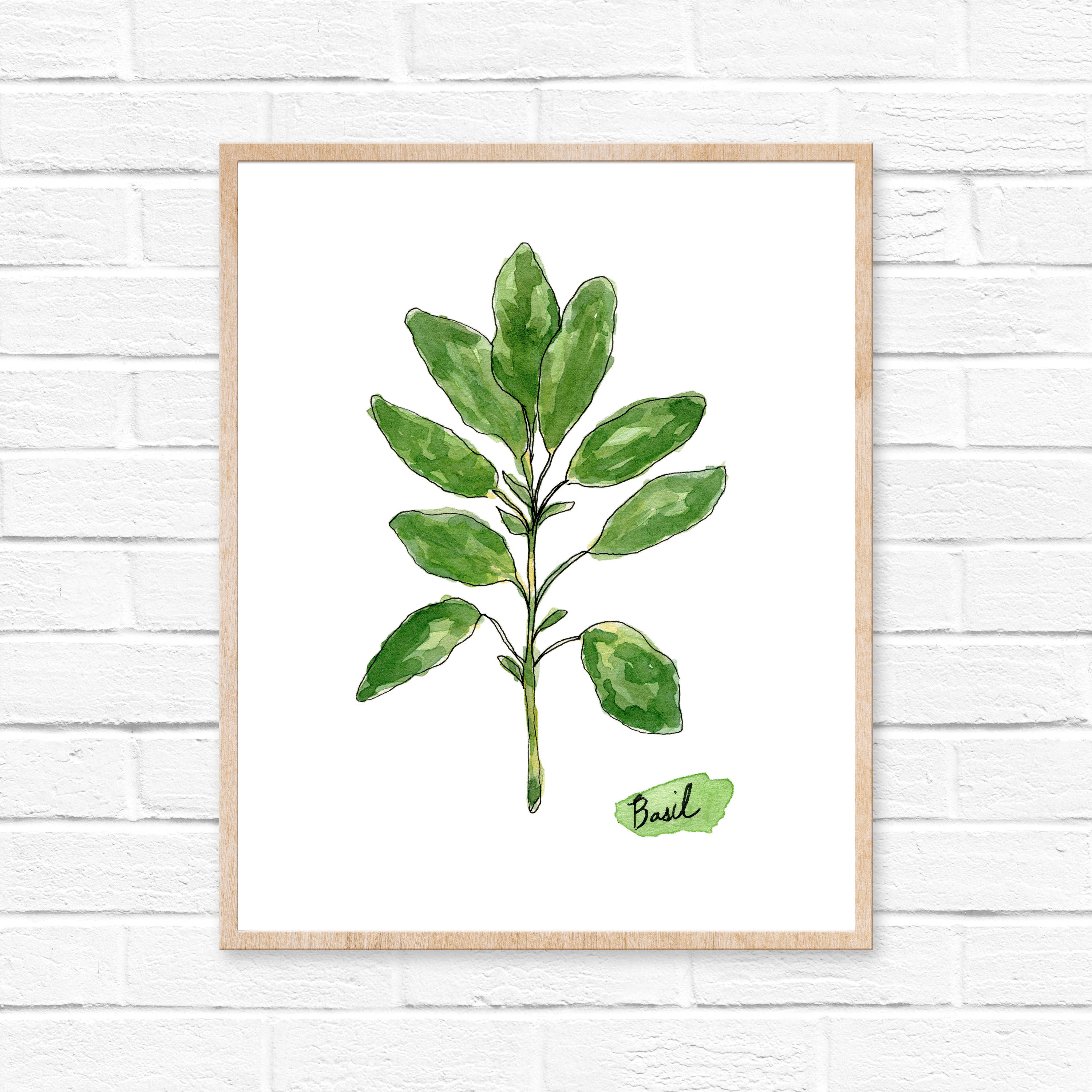 3000x3000 Herb Watercolor Prints Herb Print Set Botanical Prints Giclee Herb - Watercolor Botanical Prints