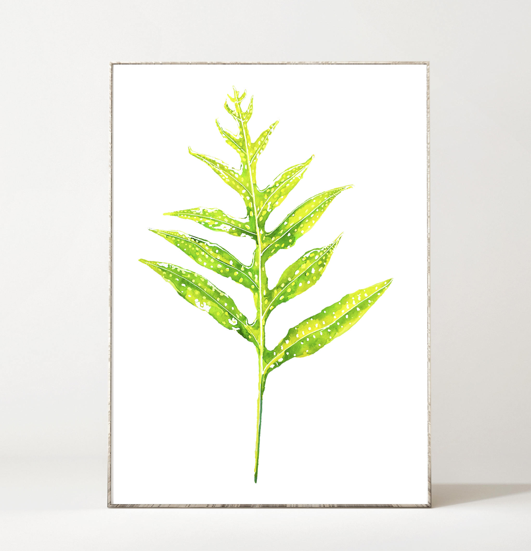 2042x2119 Watercolor Botanical Prints Art Prints Woodland Bohemian - Watercolor Botanical Prints