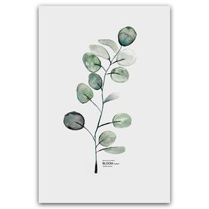 300x300 Watercolor Botanical Prints Fox And Arrow Co - Watercolor Botanical Prints