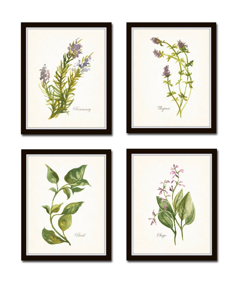 819x1024 Watercolor Herbs Print Set No. 6 Bellebotanica - Watercolor Botanical Prints