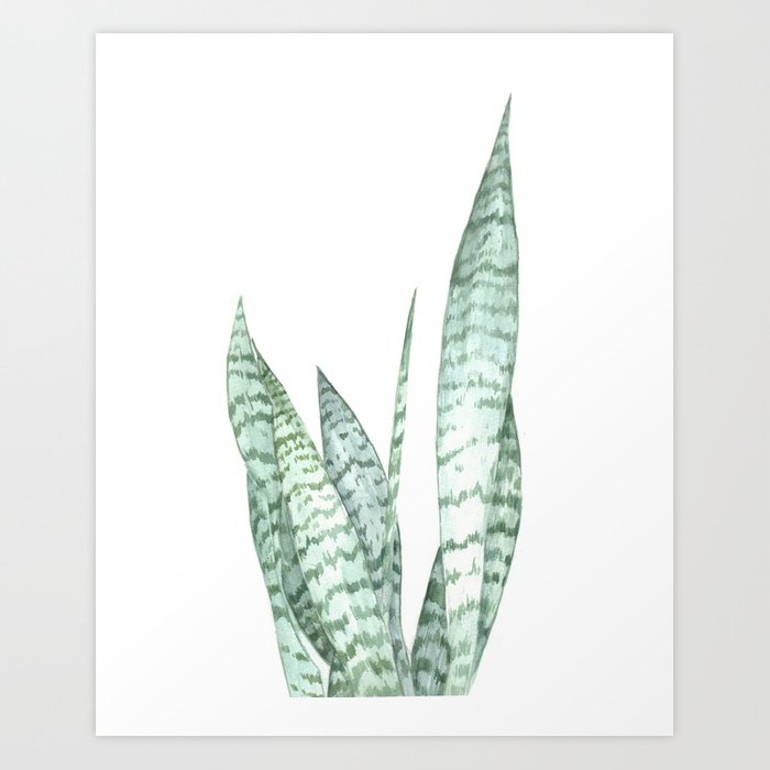 700x700 Watercolor Botanical Print Art Print By Lelemilojevic Society6 - Watercolor Botanical Prints