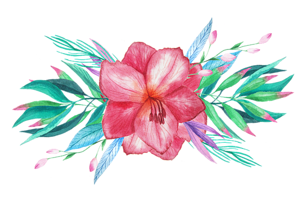 600x400 Tropical Watercolor Bouquet 5 Adult Pull Over Hoodie For Sale By - Watercolor Bouquet