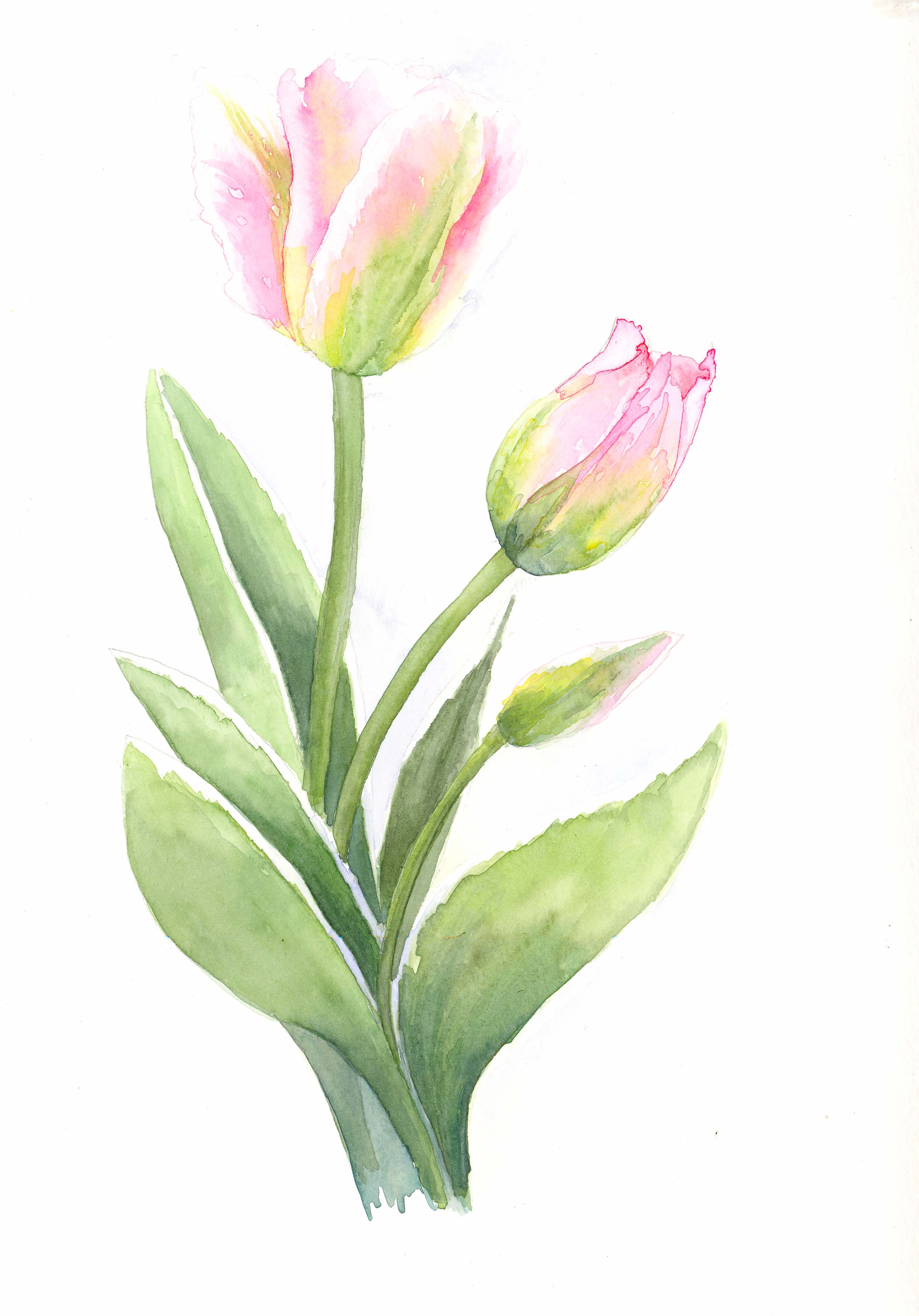 2533x3624 Watercolor Wedding Bouquet By Jane May Jones - Watercolor Bouquet