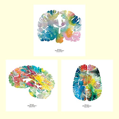 500x500 J. Sayuri Human Brain Art Print Set - Watercolor Brain