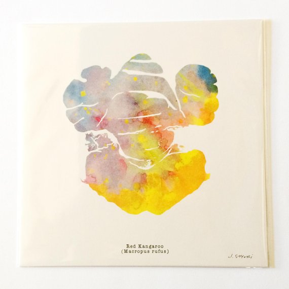 570x570 Red Kangaroo Watercolor Brain Print 12 X 12 - Watercolor Brain