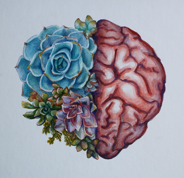 600x581 Succulent Brain On Behance - Watercolor Brain