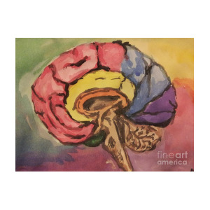 300x300 Watercolor Brain Painting By Sara Markwith Padgett - Watercolor Brain