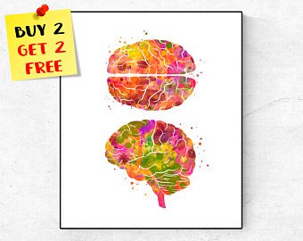 340x270 Watercolor Brain Art Etsy - Watercolor Brain