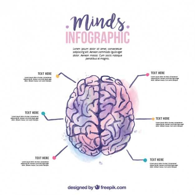 626x626 Watercolor Human Brain Infographic Vector Premium Download - Watercolor Brain