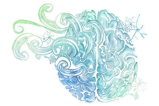 560x373 S Y M P O S I - Watercolor Brain