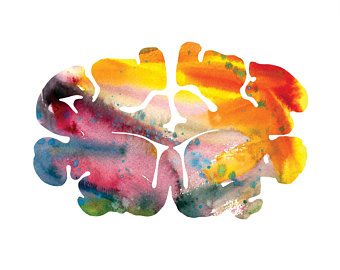 340x270 Animal Brain Art By J. Sayuri By Innerstellarart On Etsy - Watercolor Brain
