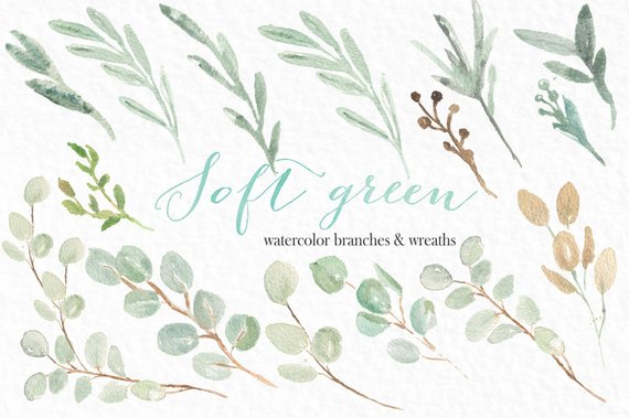 570x379 Soft Green Branches And Wreaths Watercolor Clipart Hand Etsy - Watercolor Branches