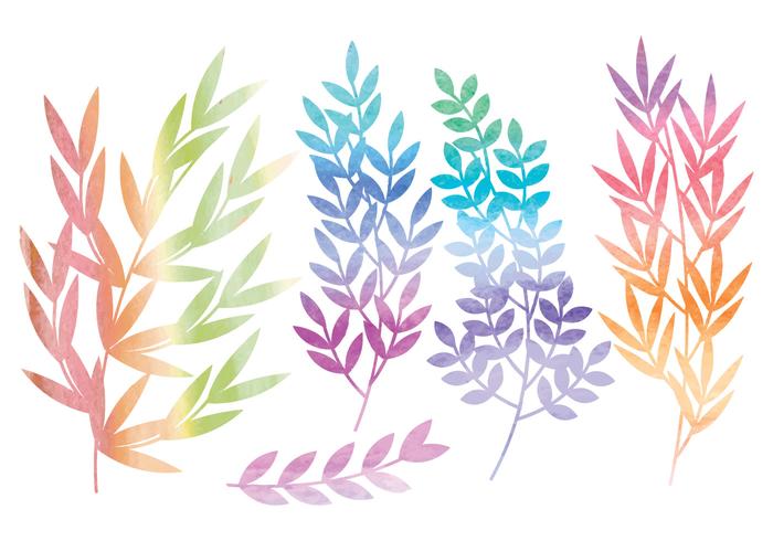 700x490 Vector Watercolor Branches And Floral Set - Watercolor Branches