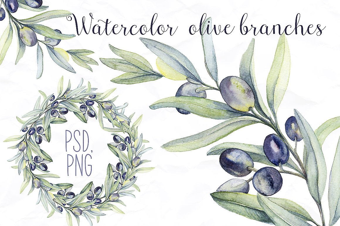 1160x772 Watercolor Botanic Olive Branch - Watercolor Branches