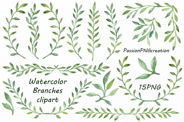 642x427 Watercolor Branches Clipart Watercolor Leaves Clipart Png Etsy - Watercolor Branches