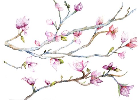 490x350 Alice Connick Ryan Watercolor Artist, Bridgehampton, East End - Watercolor Branches
