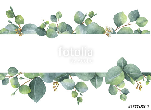 500x364 Watercolor Green Floral Card With Silver Dollar Eucalyptus Leaves - Watercolor Branches