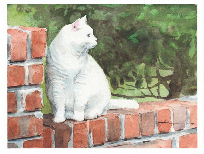 710x536 White Cat On A Brick Wall Watercolor By Mike Theuer Daler Rowney - Watercolor Brick Wall