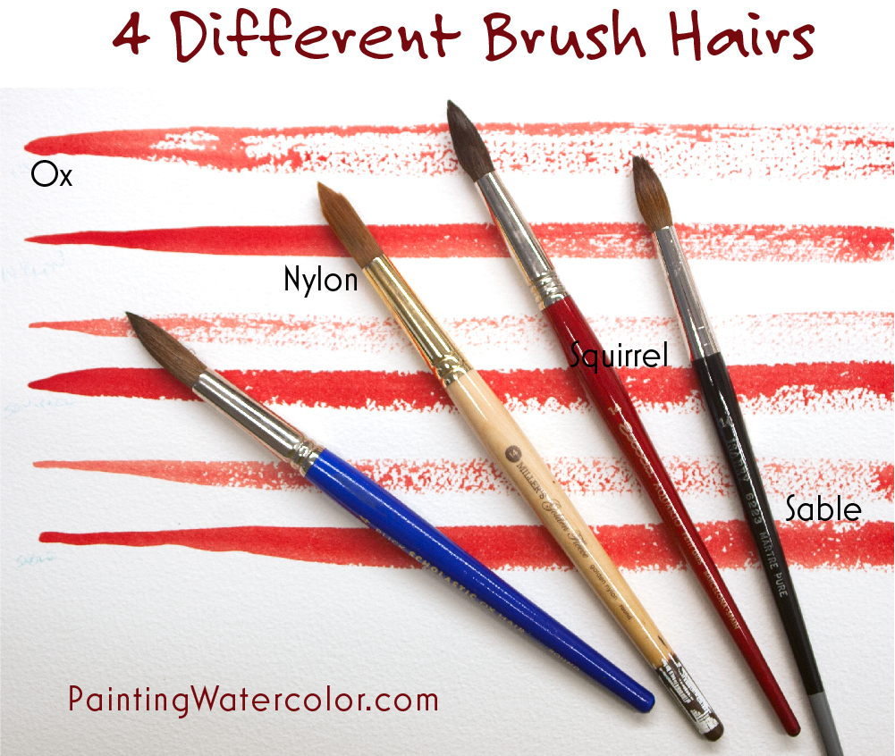 1001x846 How To Choose A Watercolor Brush - Watercolor Brush