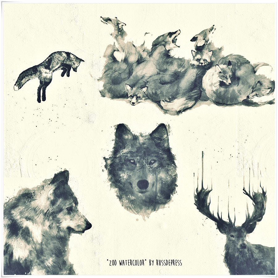 900x900 Watercolor Animals Ps Brushes - Watercolor Brush Ps