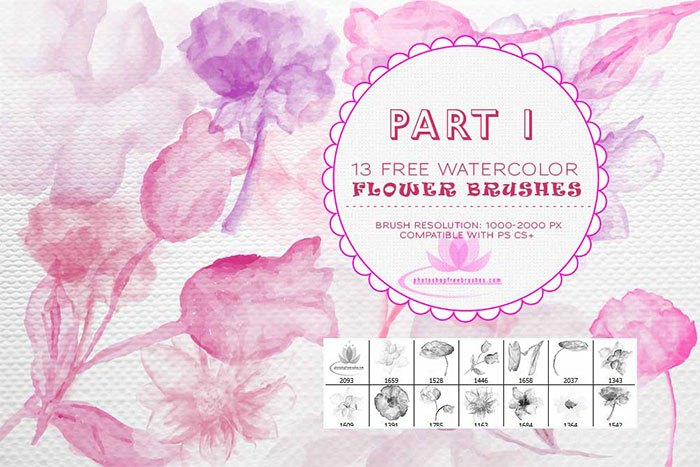 700x467 Watercolor Flower Ps Brushes Photoshop Free Brushes - Watercolor Brush Ps