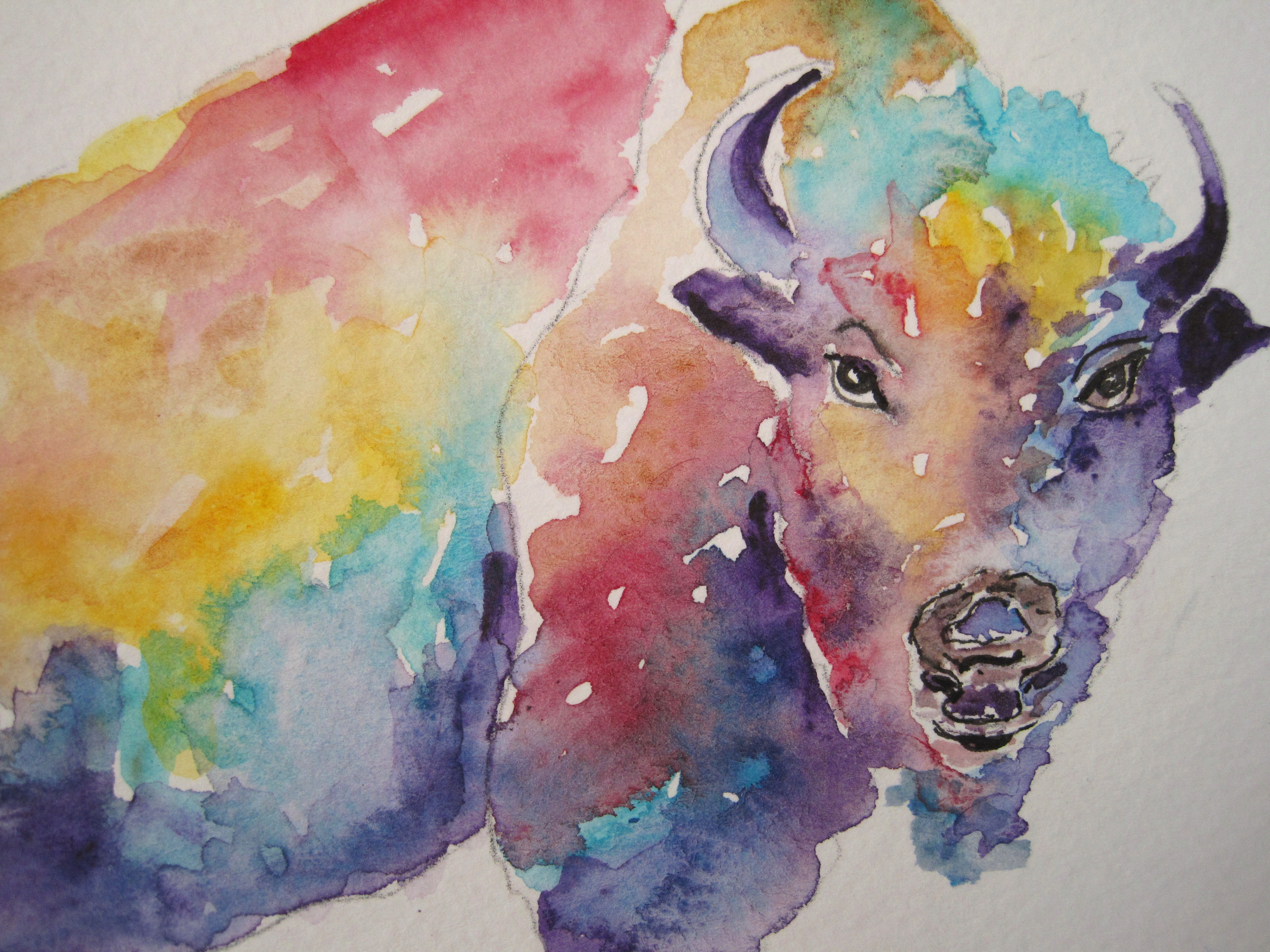 3648x2736 Buffalo Color Study - Watercolor Buffalo