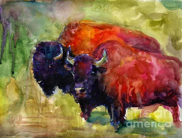 600x457 Watercolor Buffalo Wildlife Painting By Svetlana Novikova - Watercolor Buffalo