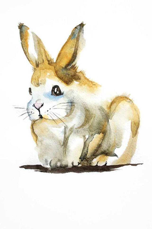 642x963 Original Watercolor Bunny Easter Rabbit Painting Hare Art Etsy - Watercolor Bunny