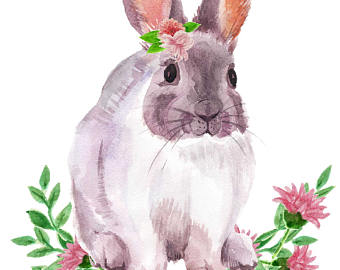 340x270 Watercolor Bunny Etsy - Watercolor Bunny
