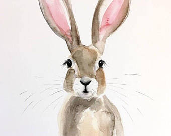 340x270 Bunny Watercolor Etsy - Watercolor Bunny
