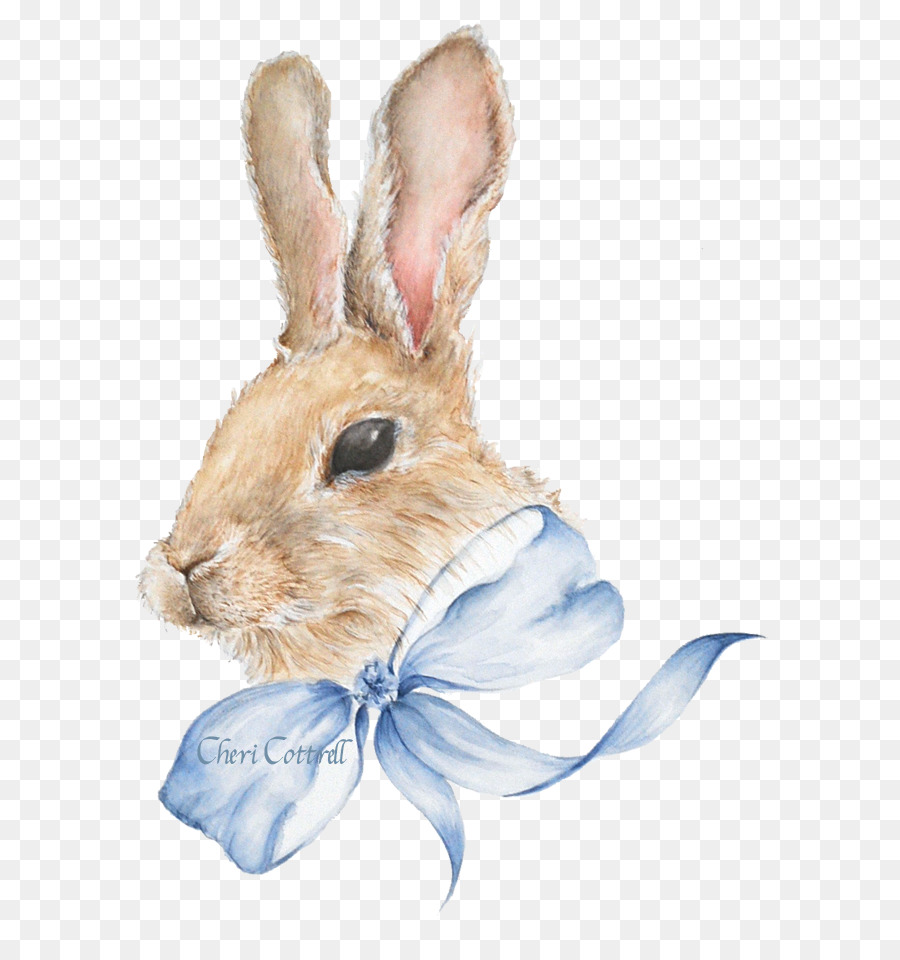 900x960 Easter Bunny Hare Domestic Rabbit - Watercolor Bunny