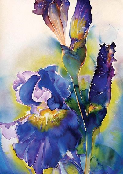 403x570 Carol Carter - Watercolor Burst
